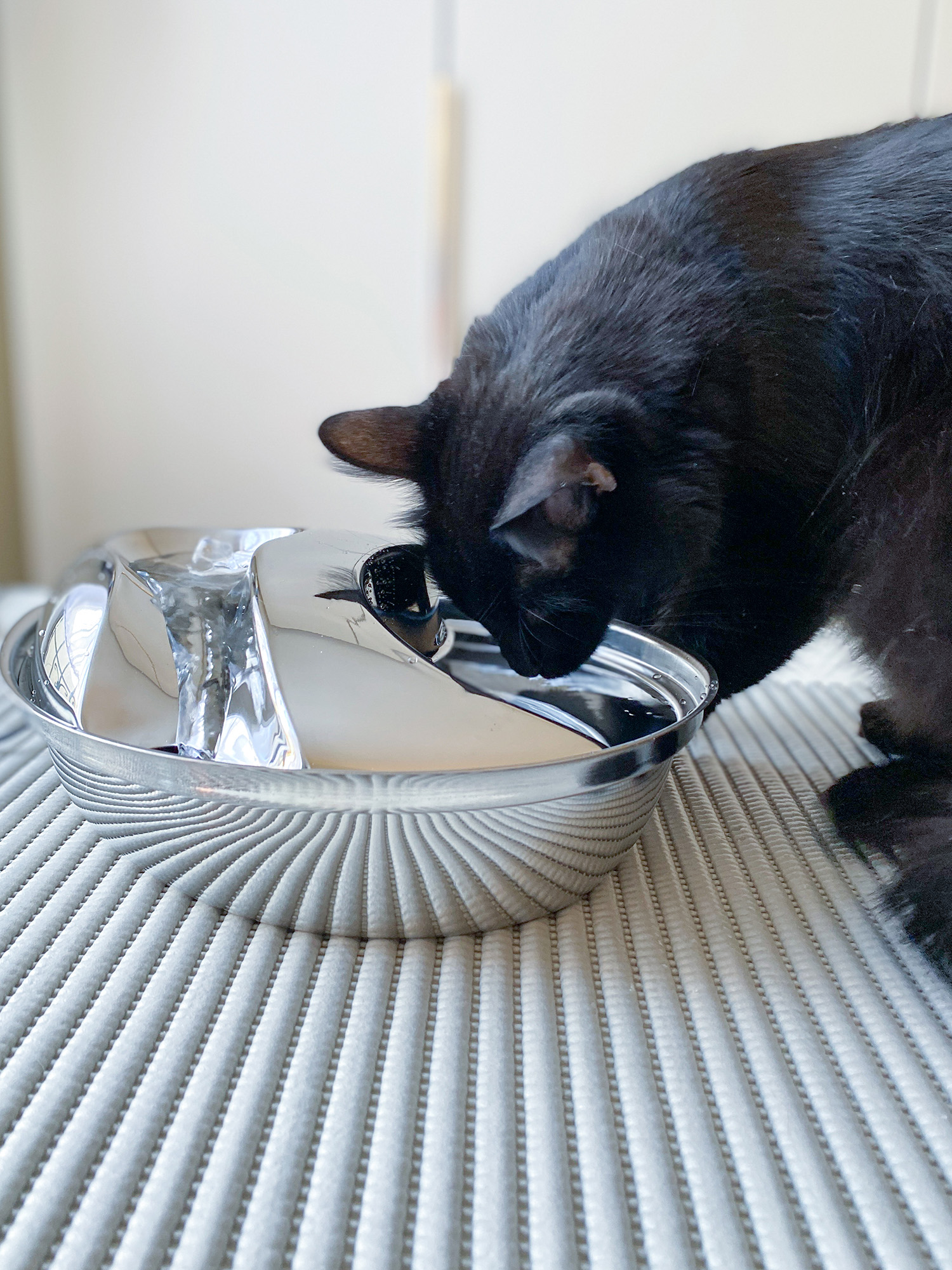 Pioneer cat water fountain hotsell