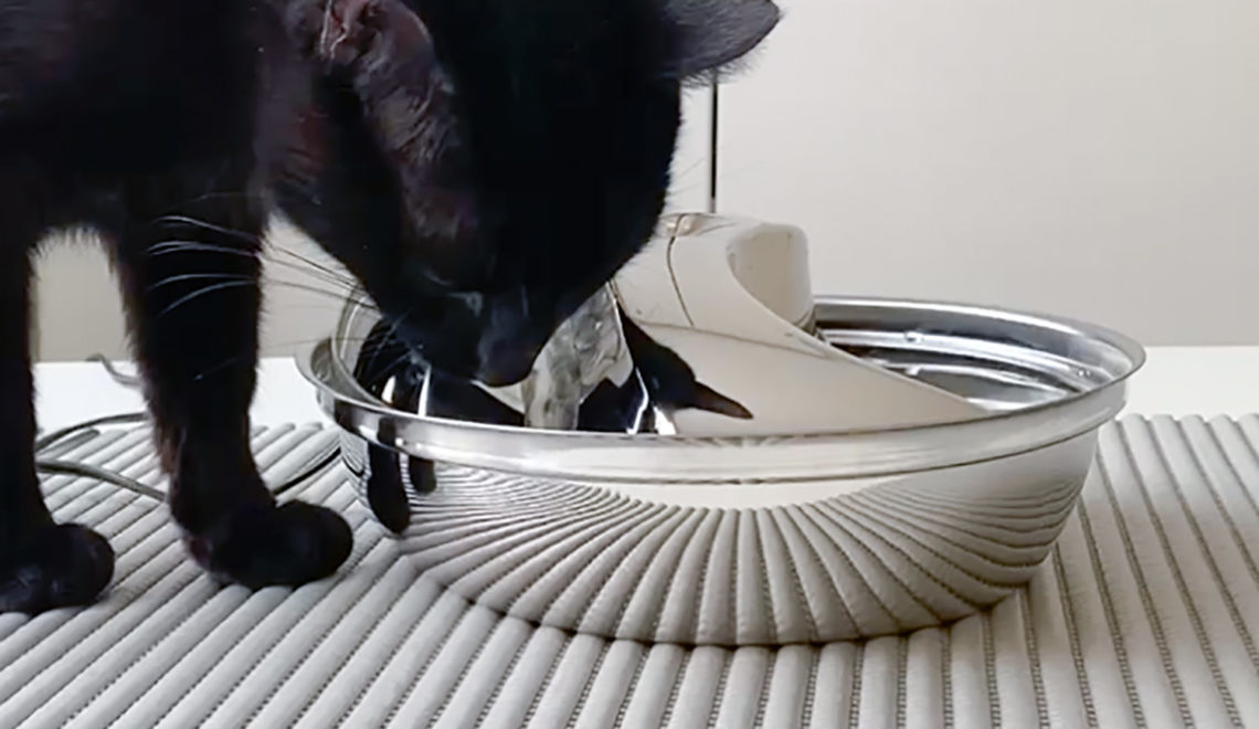 Pioneer Pet Stainless Steel Raindrop Fountain