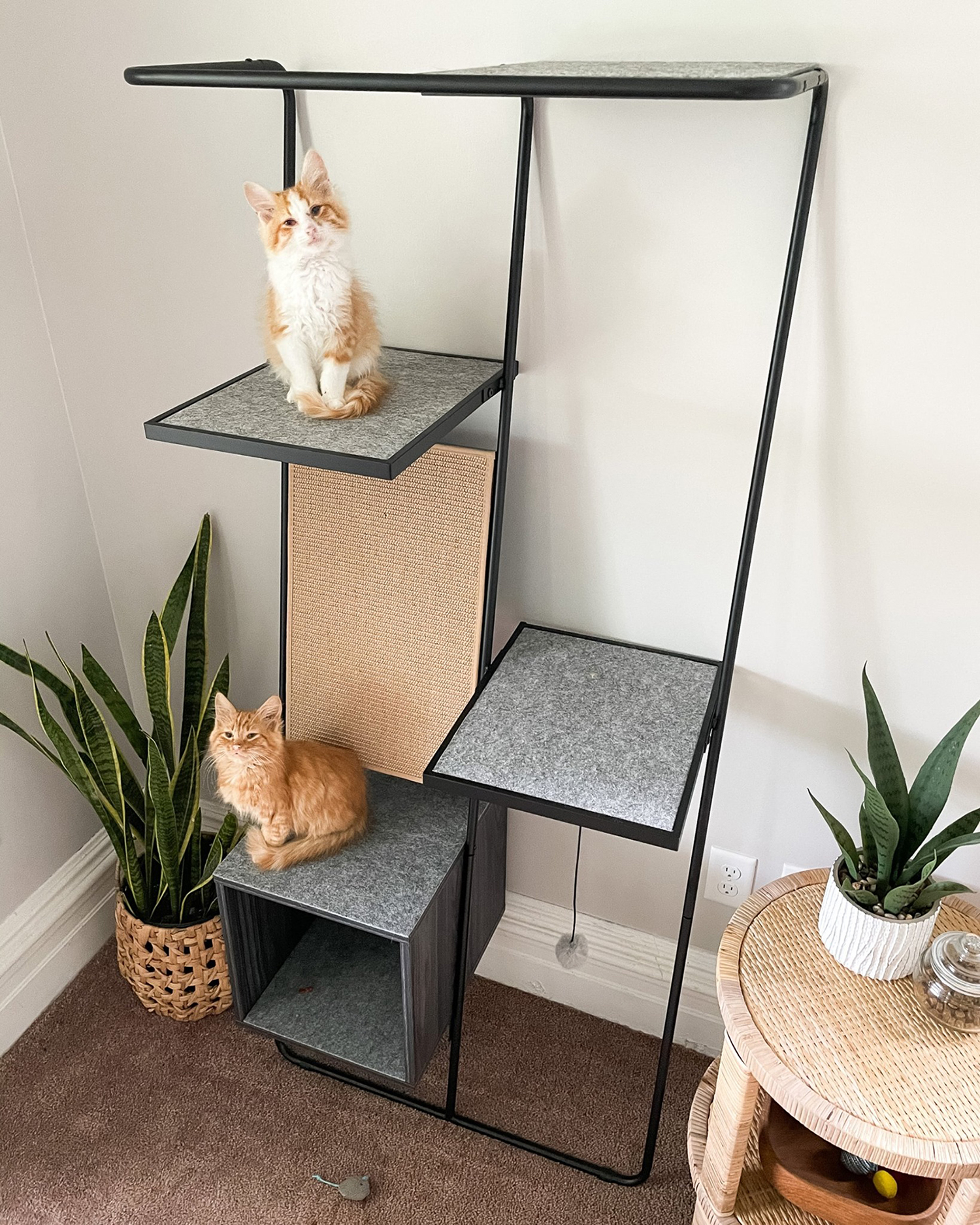 Sauder cat furniture new arrivals