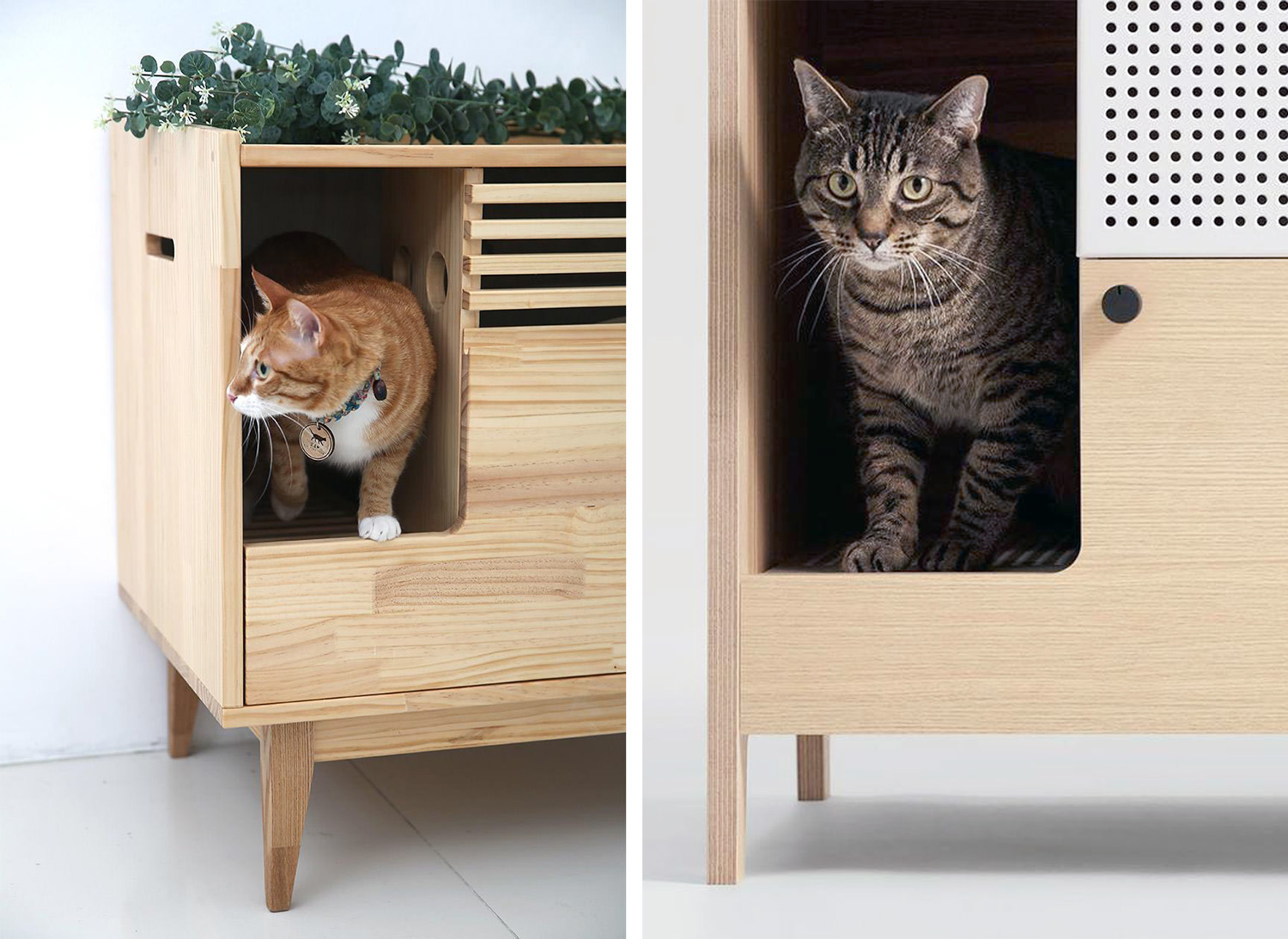 Small Space Solution Conceal Your Litter Box in Style hauspanther