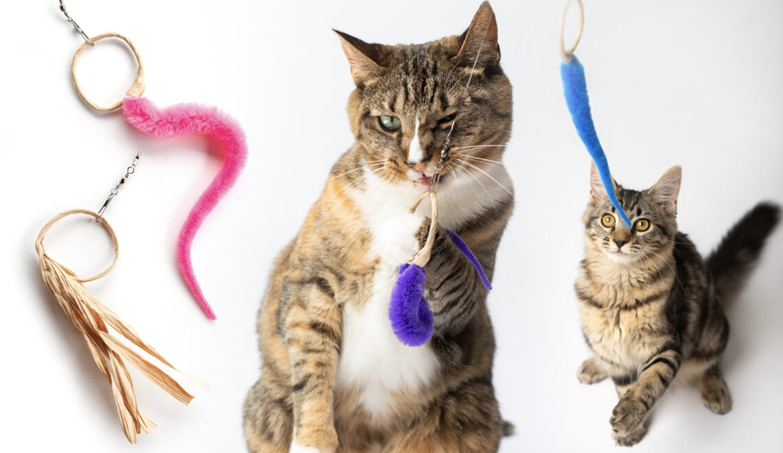 Eco-friendly Ring Cat Toys from Dezi & Roo