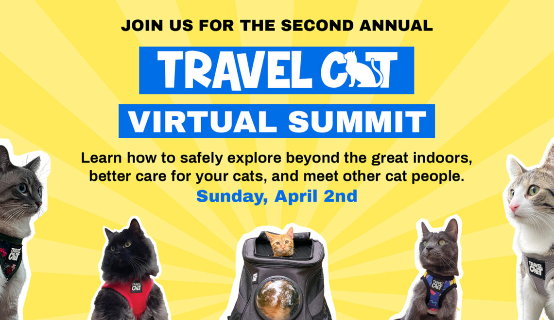 travel cat promo code