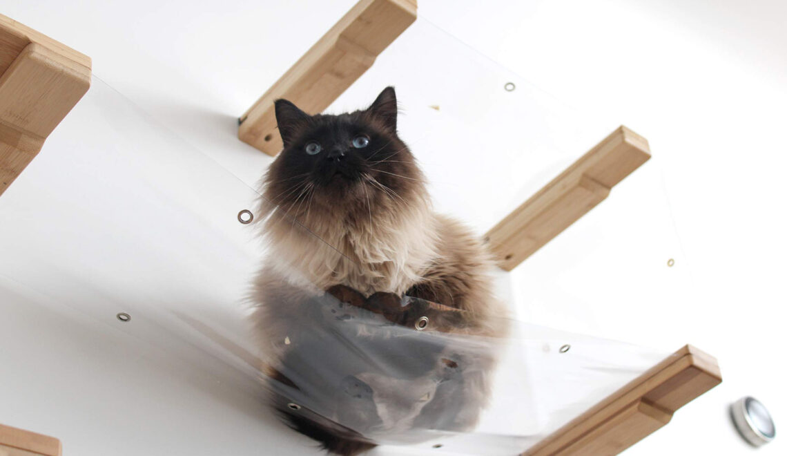 New Invisible Cat Hammocks from Catastrophic Creations!