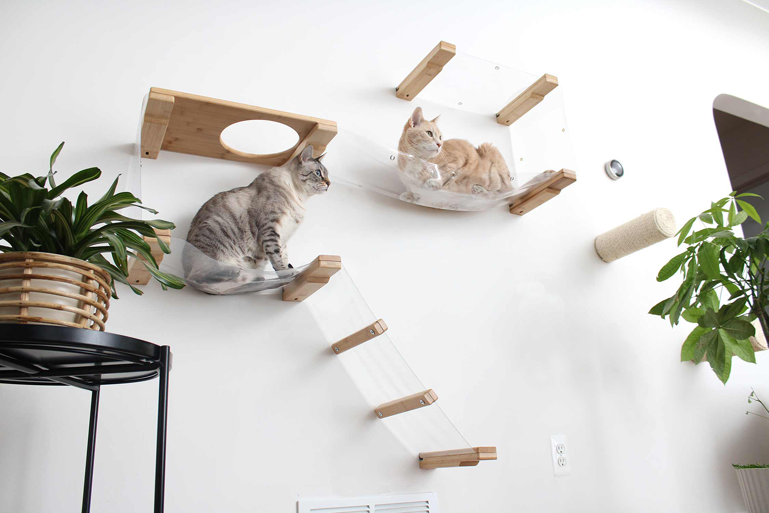 invisible cat hammocks the purrington post terbaru
