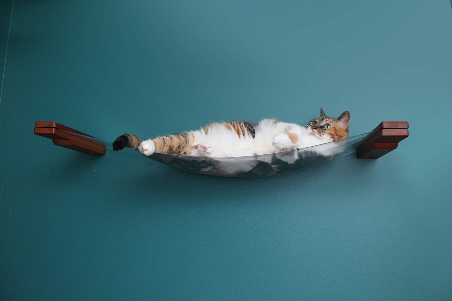 invisible cat hammocks the purrington post