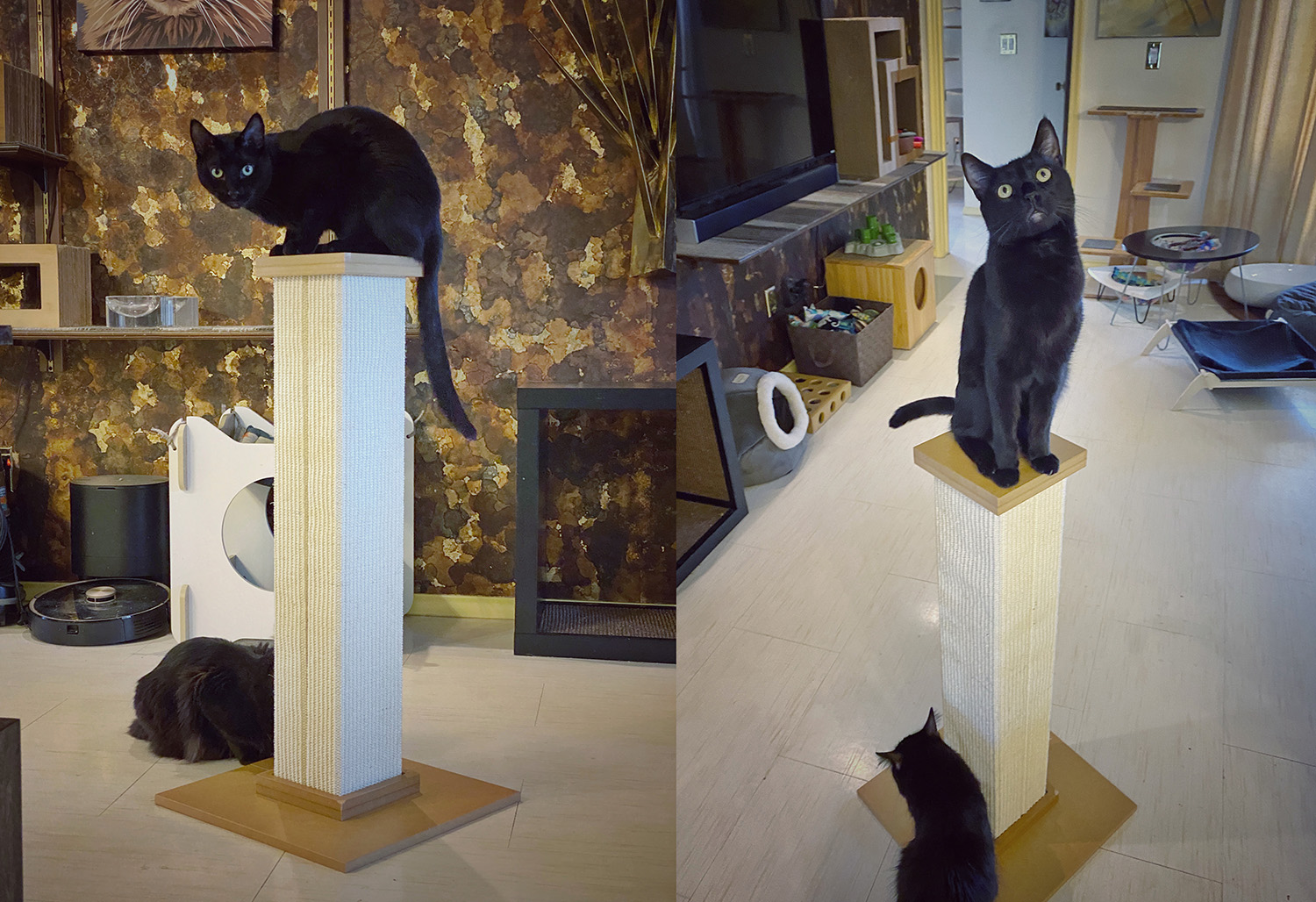 Smartcat ultimate best sale scratching post replacement