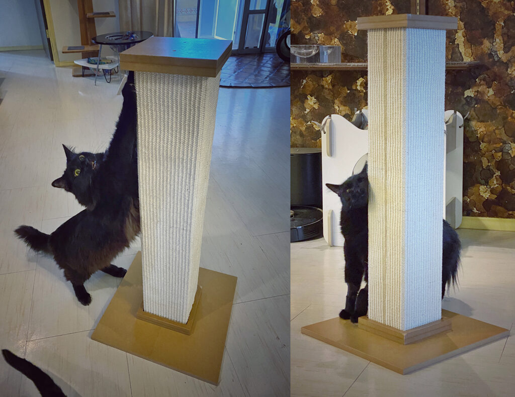 SmartCat Ultimate Scratching Post is Always a Favorite • hauspanther