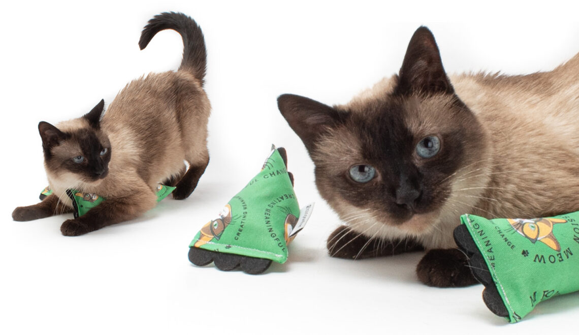 These Toys Support Cats in Need Via Mission Meow!