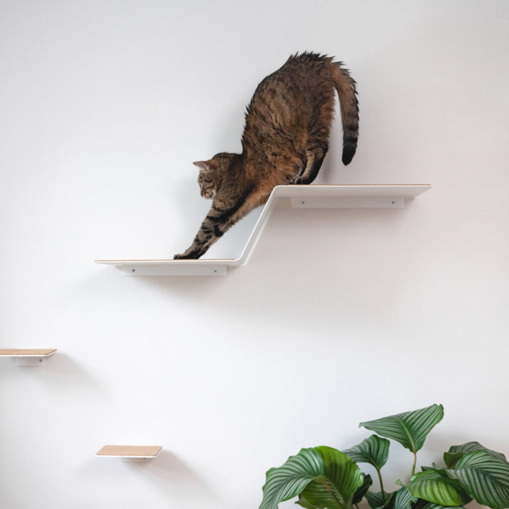 LucyBalu Modern Cat Furniture from Germany • hauspanther