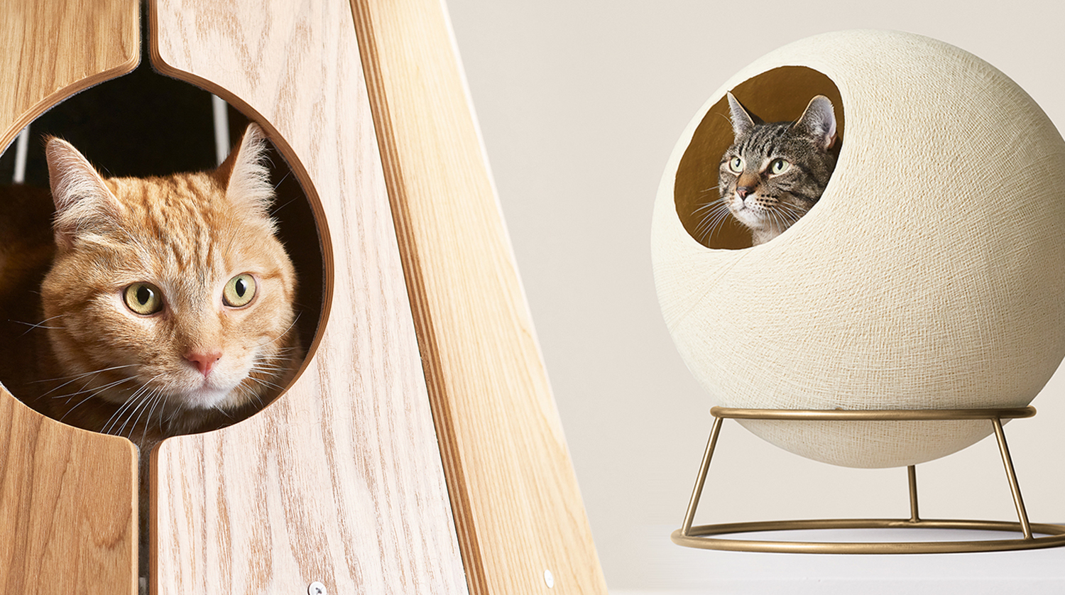 Unique Modern Cat Beds for Your Favorite Feline • hauspanther