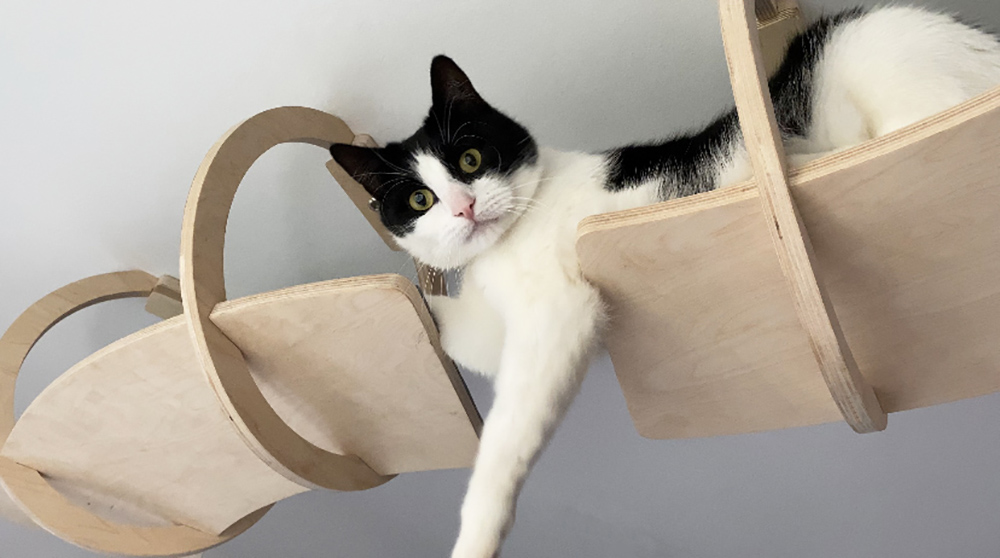 Ceiling-mounted Cat Walk from If Cats Cat Fly