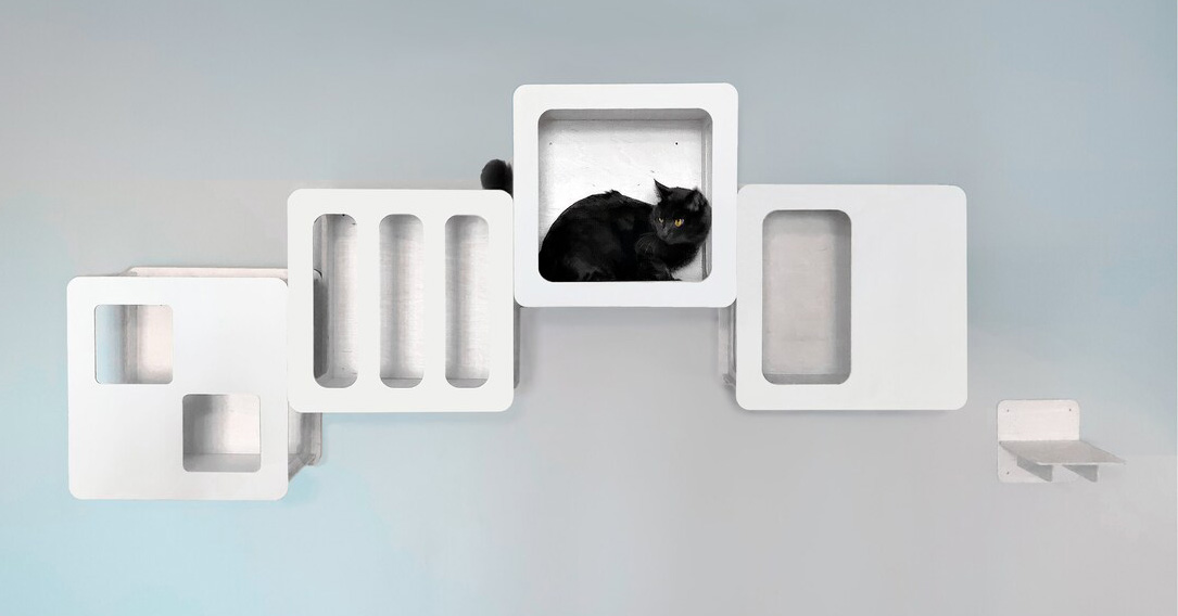 Modern Cat Climbing Boxes with Modular Design