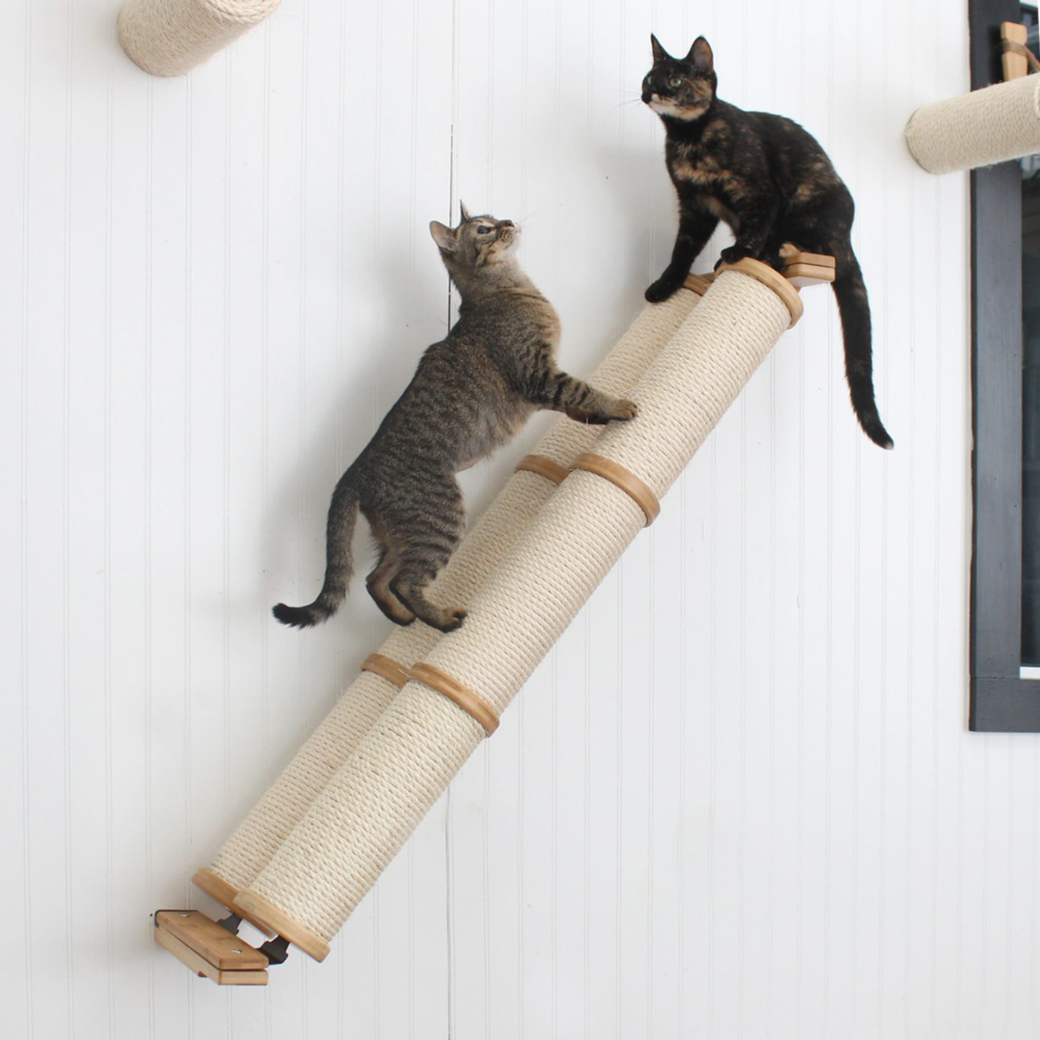 Angled clearance cat scratcher