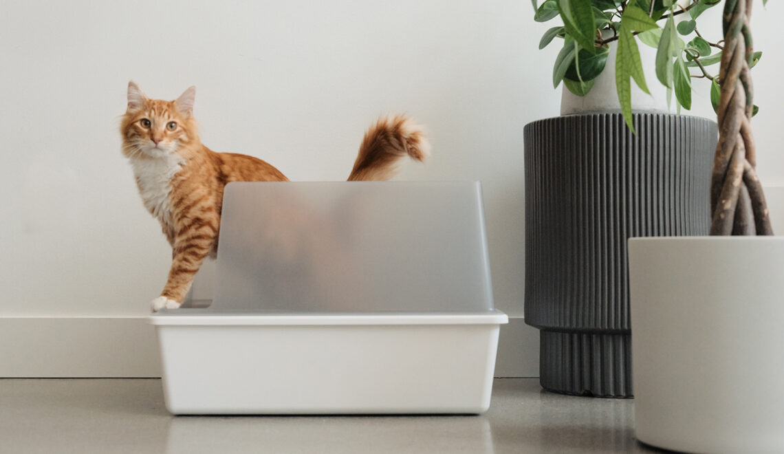 Give Your Cat Some Privacy with the New Litter Box Screen from