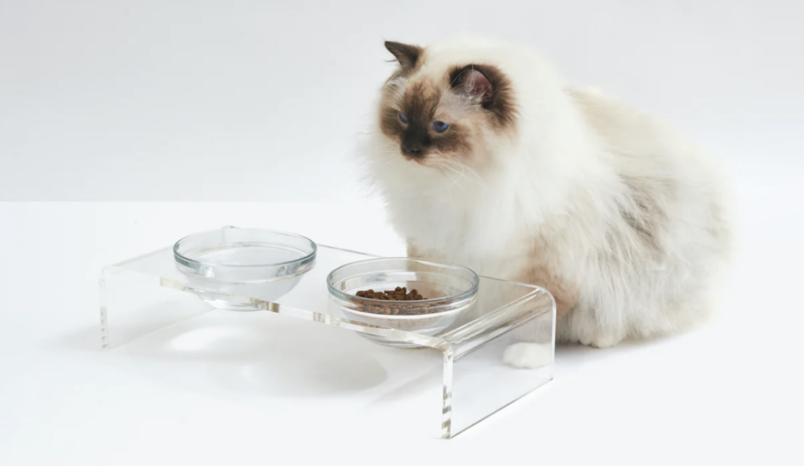 Crystal Clear Acrylic & Glass Raised Cat Feeder from Hiddin