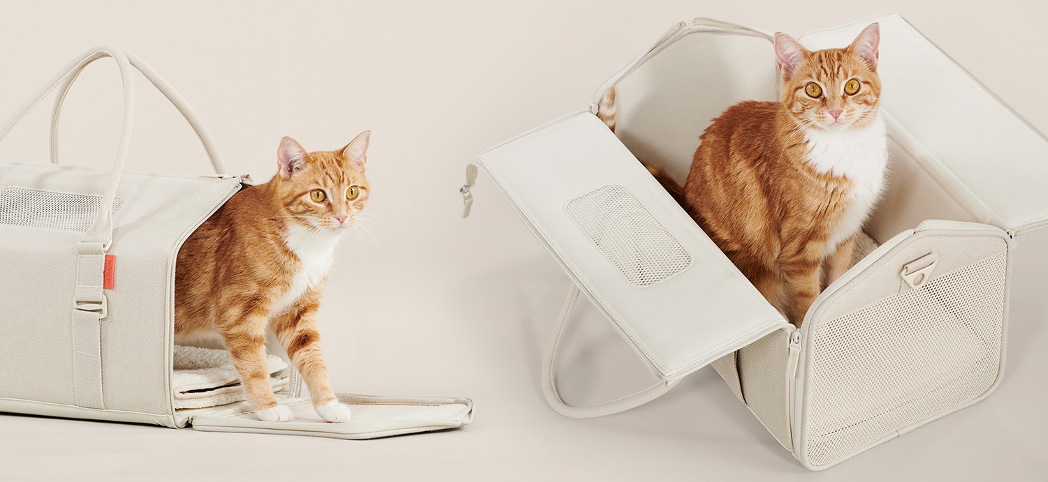 6 Best Cat Carriers of 2024 – tuft + paw