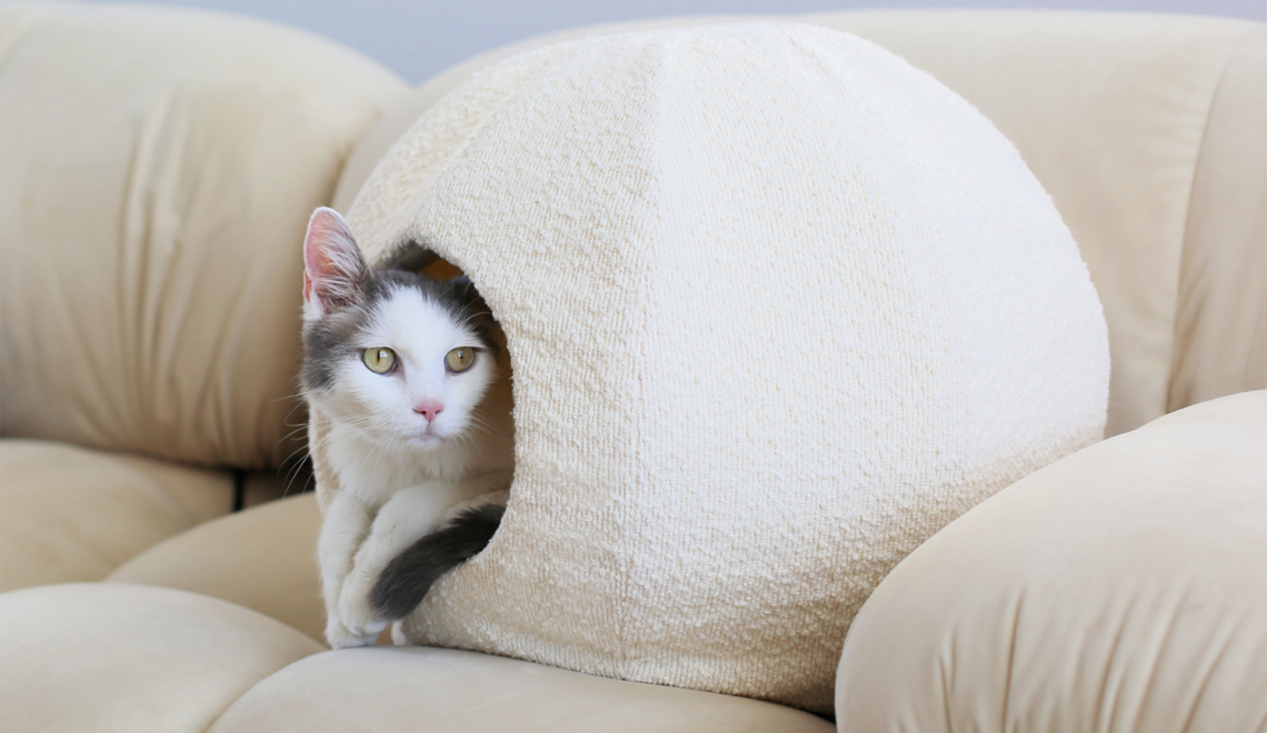 Moon Modular Cat Cave & Bed from Catenary