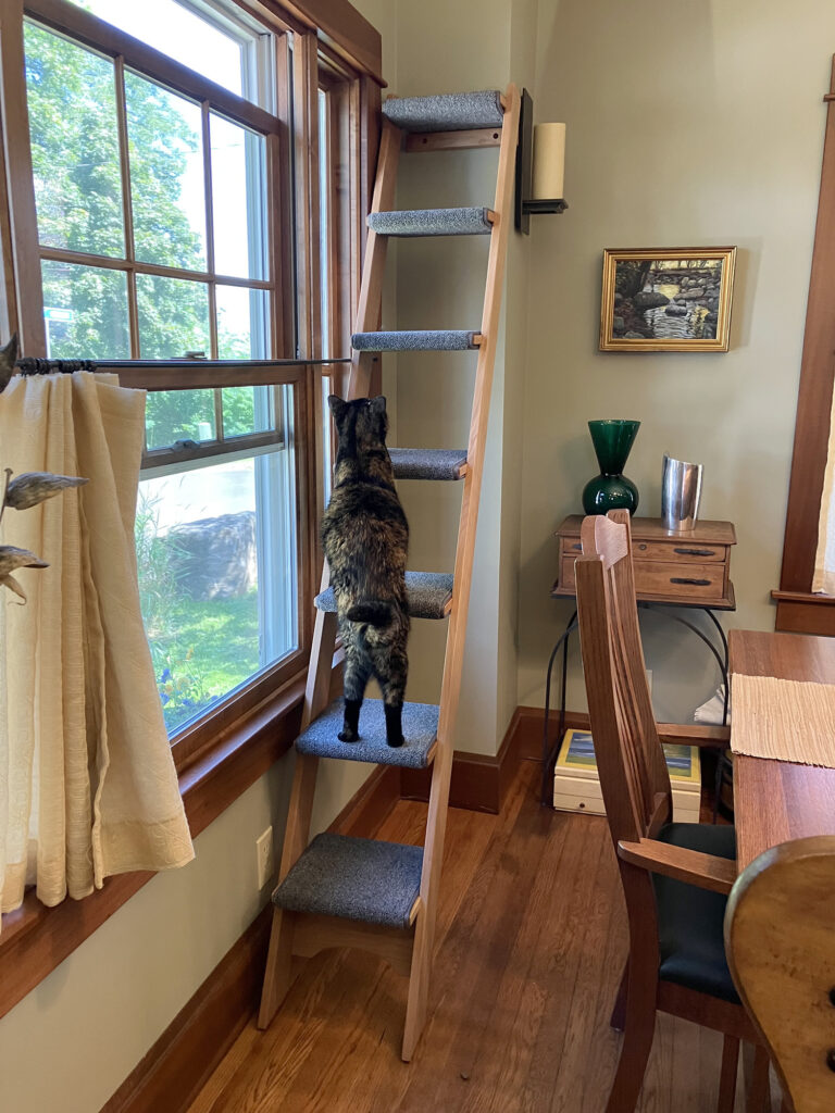 Special Holiday Savings on New Cherry Hardwood Cat Ladders • hauspanther