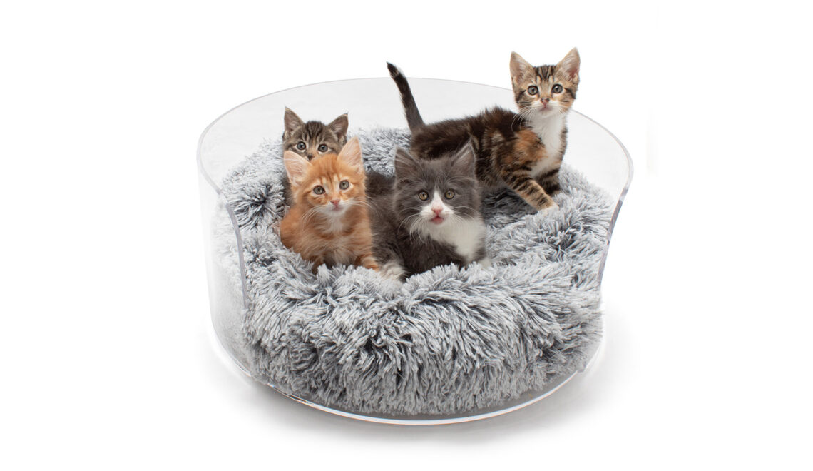 Crystal Clear Luxe Cat Bed from Hiddin