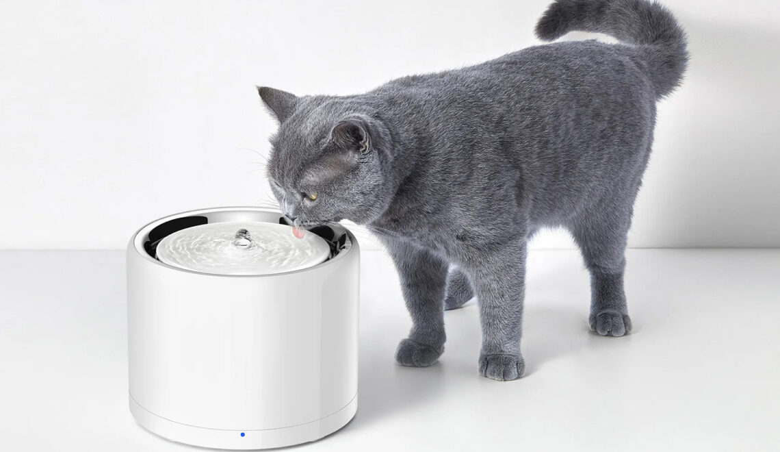 EverSweet 3 Pro from Petkit Offers Newest Technology in Pet Drinking Fountains