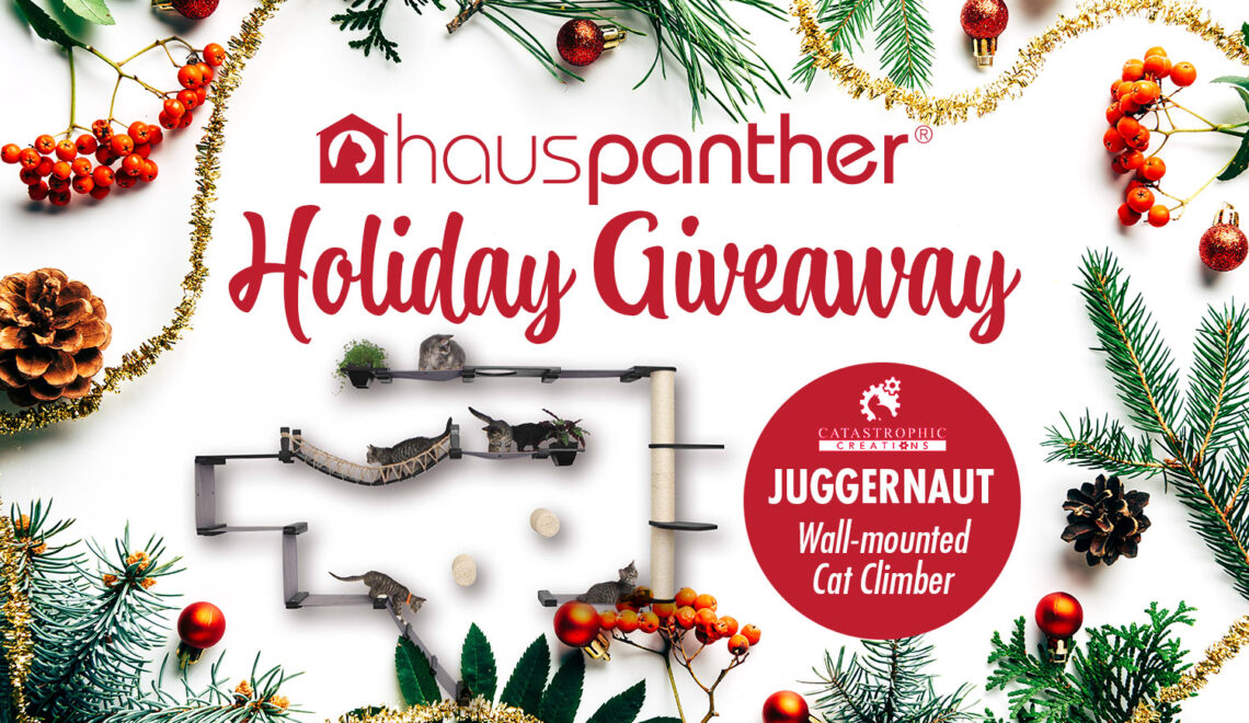 ENDED Holiday Giveaway! Enter to Win a Juggernaut Wall-mounted Cat Climber from Catastrophic Creations!
