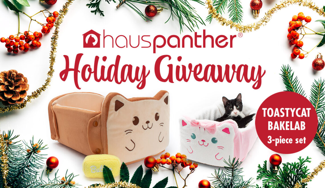 ENDED Holiday Giveaway! Enter to Win a ToastyCat BakeLab Bread Bed 3-piece Set