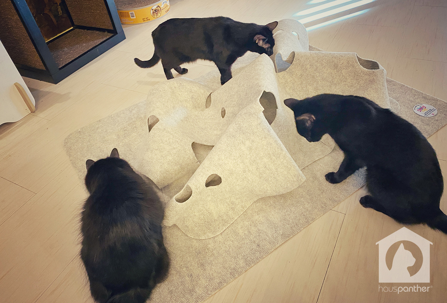 Ripple Rug Cat Activity Mat: Endless Fun for Your Feline!