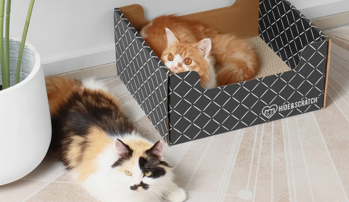 Keep the Cardboard Shreds Contained with Hide & Scratch Cat Scratcher Box