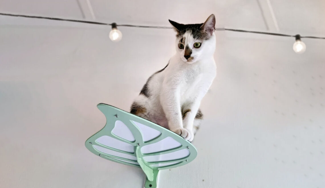 Elegant Plant-themed Cat Steps & Perches from Oofy Cat