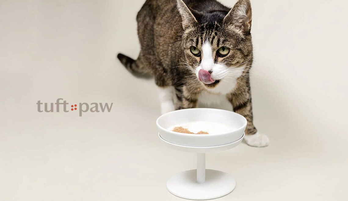 Dock Bowl & Stand From Tuft + Paw: Minimalist Beauty, Maximum Function