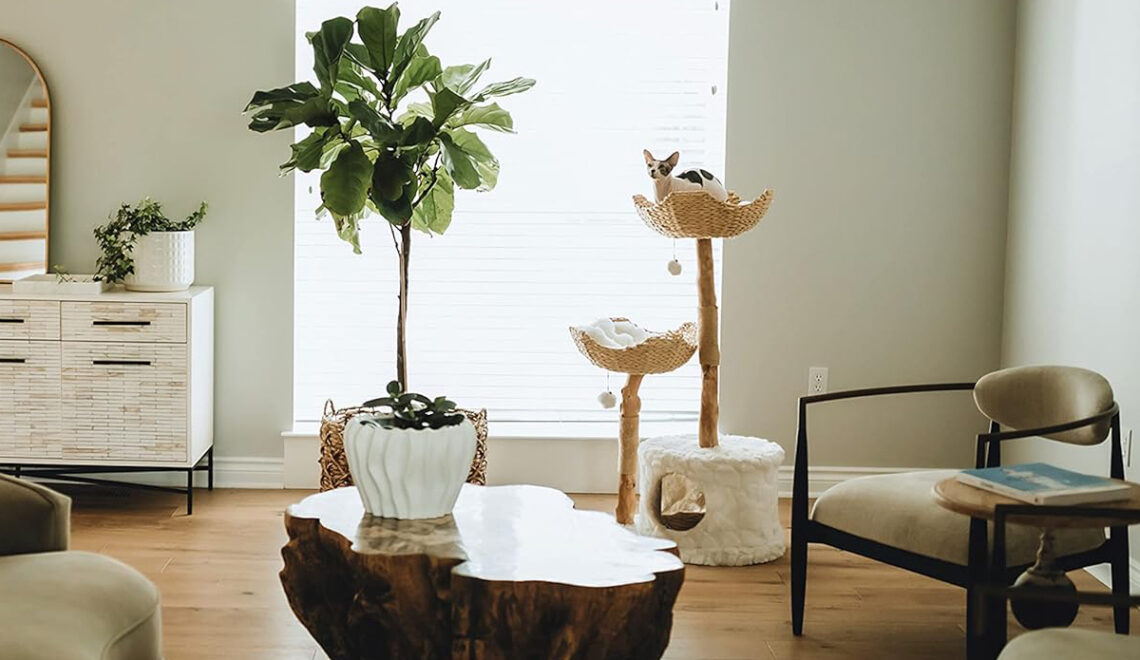 Modern Natural Wood Cat Trees from Mau Lifestyle
