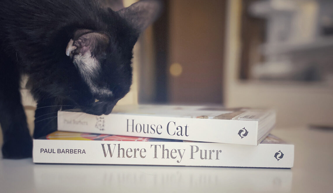 Two Books Every Design-loving Cat Person Needs to Own