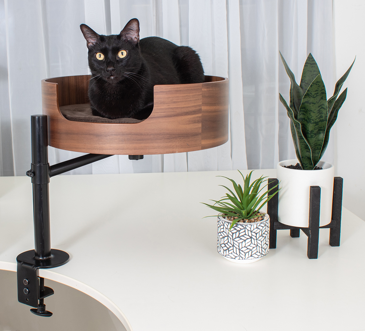 Introducing Desk Nest The Perfect Cat Bed For Your Office hauspanther