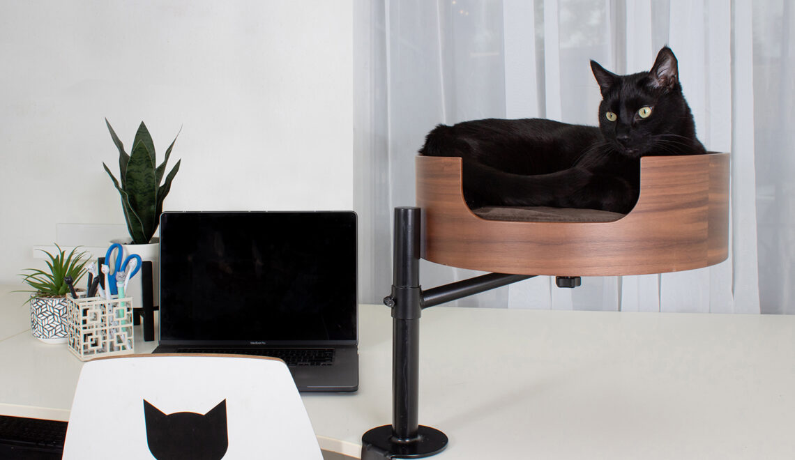 Introducing Desk Nest: The Perfect Cat Bed For Your Office!