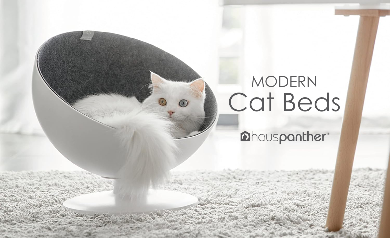 Modern cat bed discount