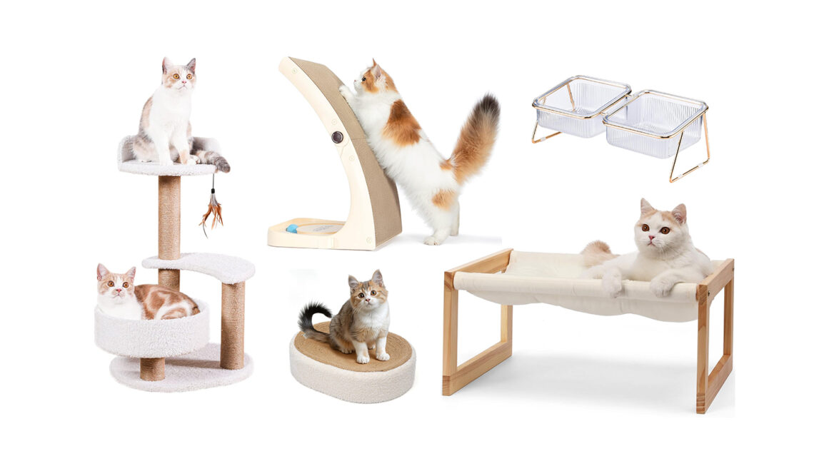 Modern Style to Catify Your Home