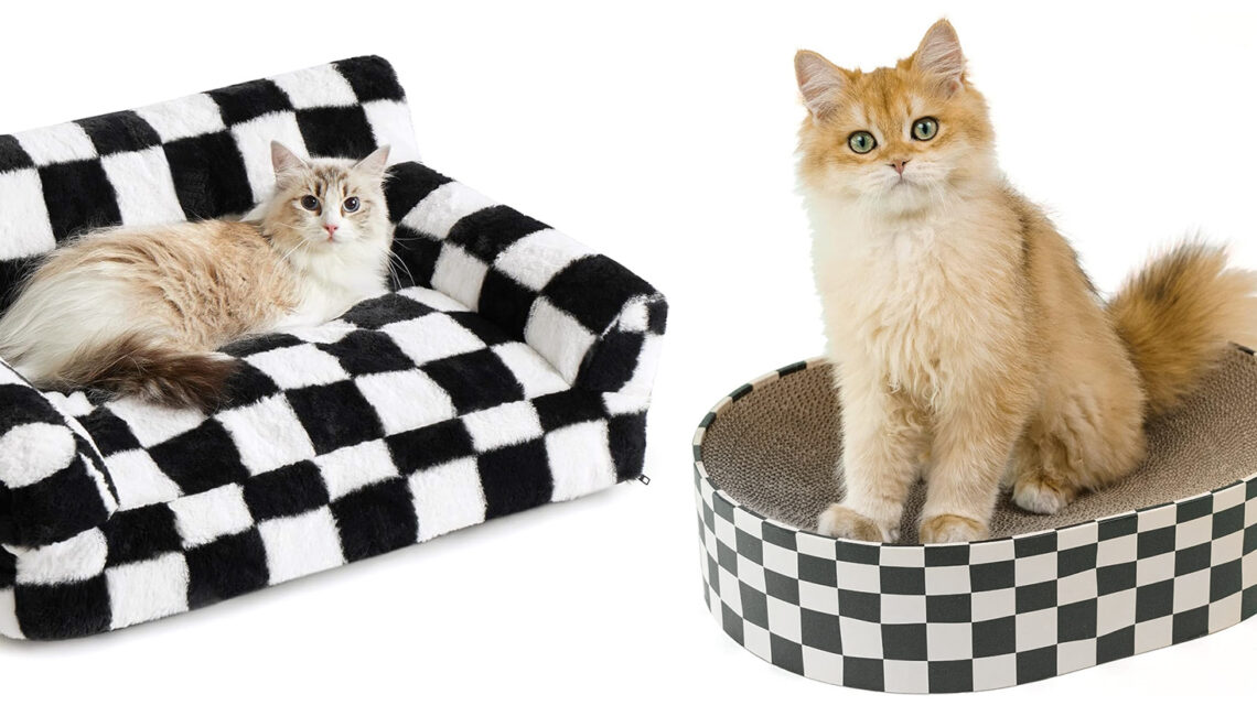 Two Tone Accessories for Cats Who Want to Make a Political Statement