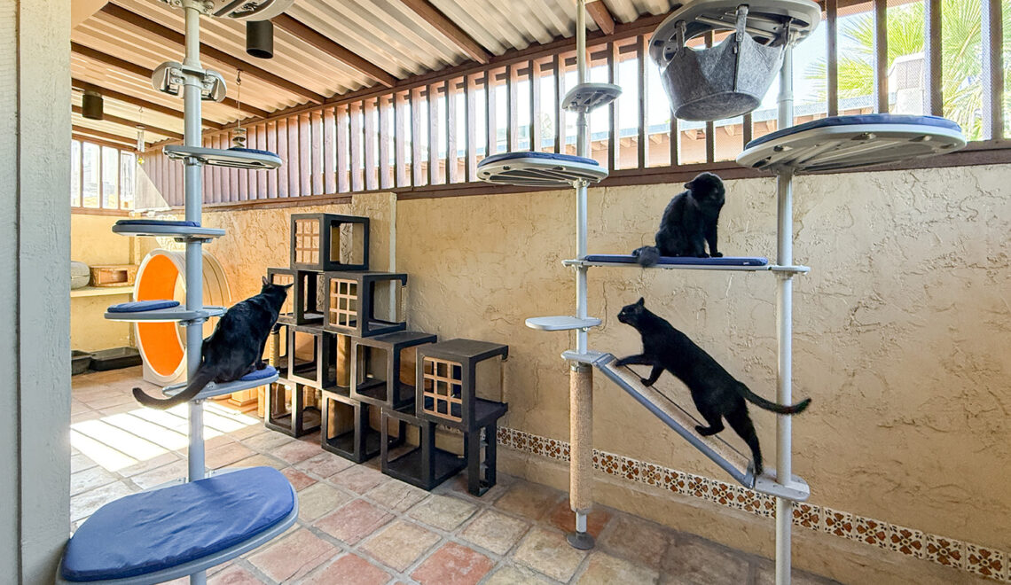 Spruce Up Your Catio with the Freestyle Outdoor Cat Tree from Omlet
