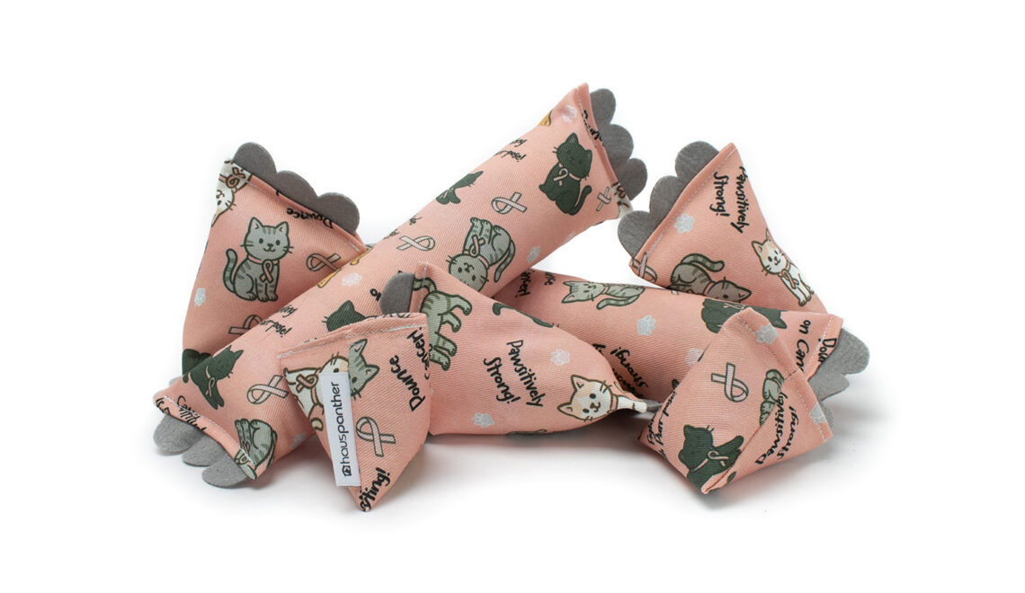 Breast Cancer Words of Encouragement Cat Toys and One More Round for Kate