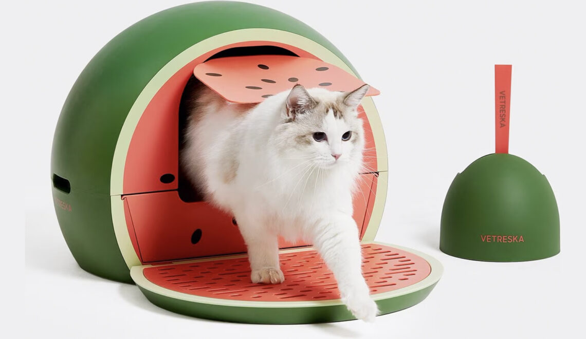 Watermelon Summer Fun for Kitty!