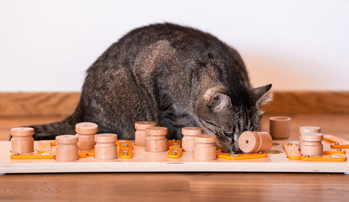 MICE Interactive Treat Puzzle Toy for Cats