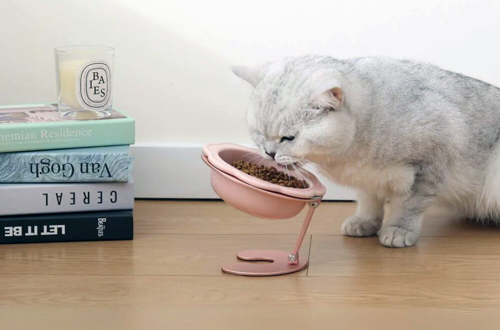 Multi-Angle Adjustable Cat Bowl Stand, Great for Travel!