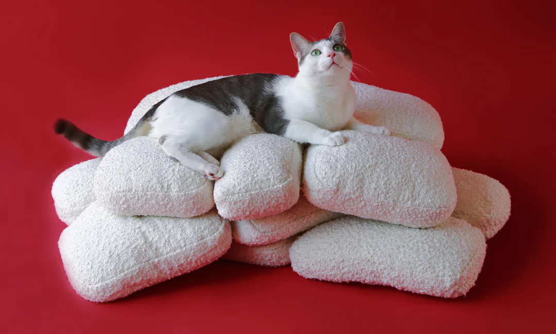 Holiday Gift Guide: Catenary Home Favorites for Cat Lovers