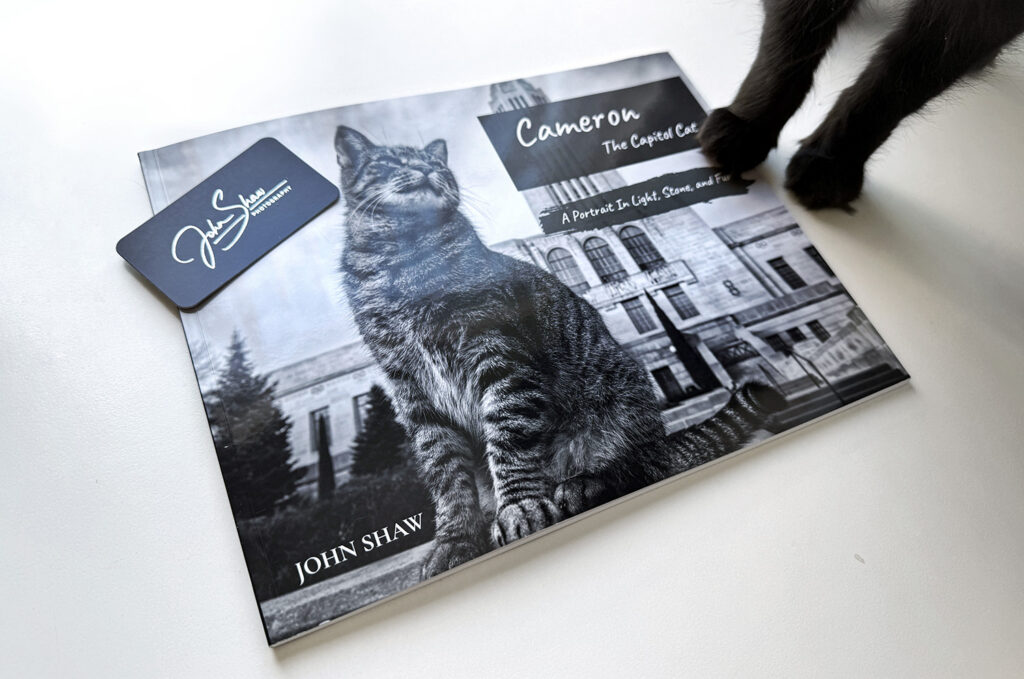 Cat John Rockson Book Review: Cameron the Capitol Cat by John Shaw
