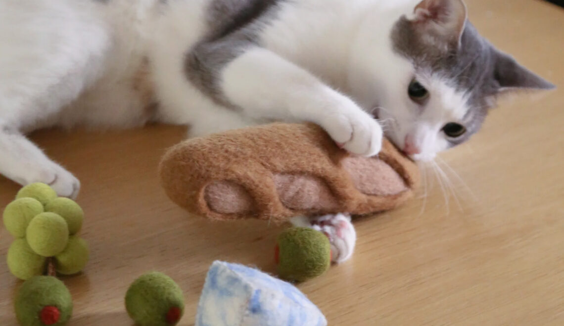 Charcuterie Cat Toy Set from Catenary
