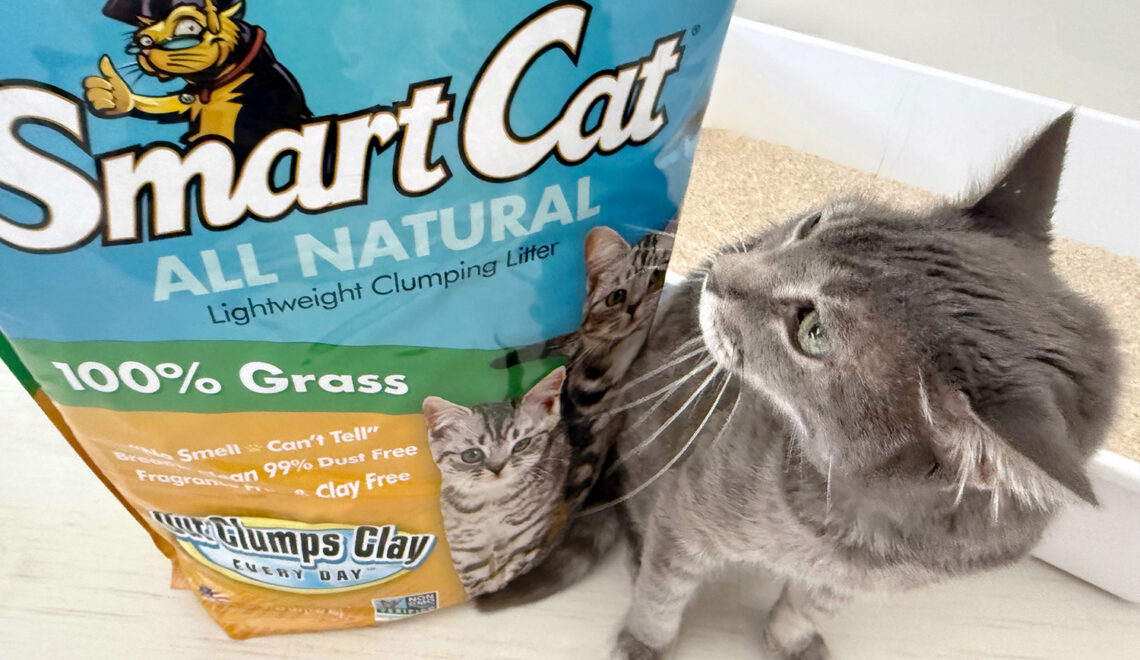 Why SmartCat Grass Litter Has Been a Favorite Among Cat Parents for Years